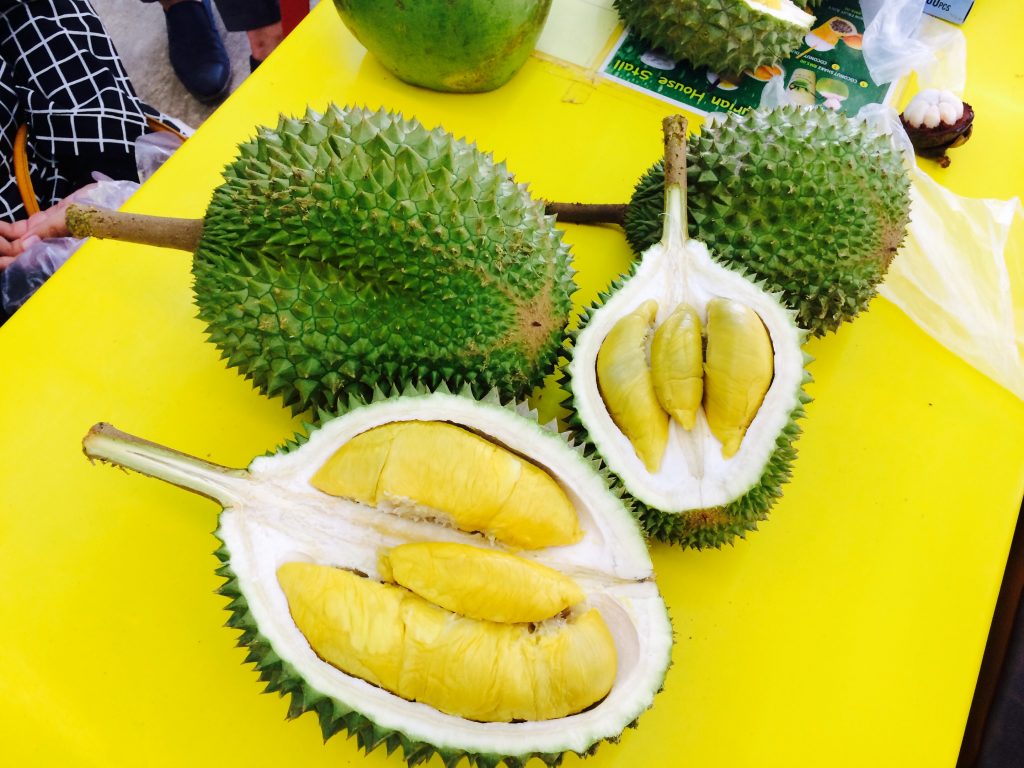 durian-4 - LifeStyle 