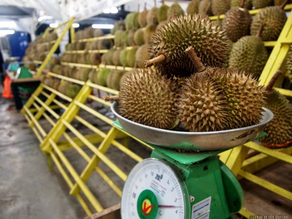 durian-5 - LifeStyle 