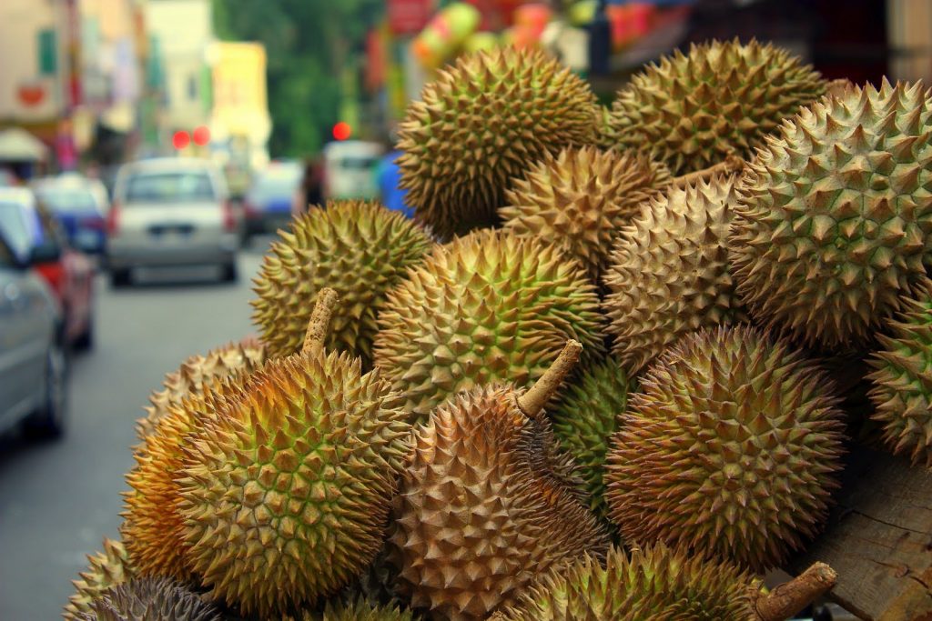 durian - LifeStyle 