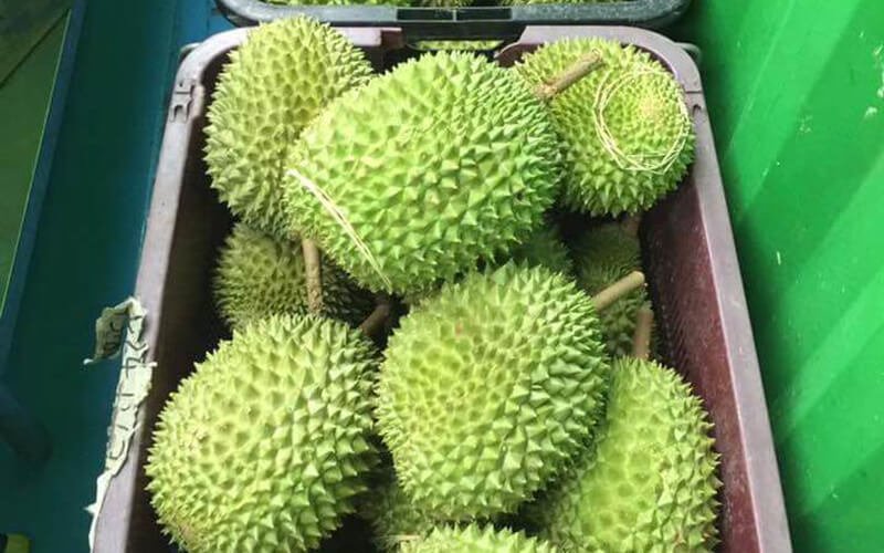 durian-buffet-1 - LifeStyle 