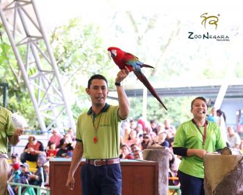 FREE-Zoo-Negara-Admin-Tickets-in-Malaysia-Promotion-2020-0011-350x280 - Others Promotions & Freebies Selangor Supermarket & Hypermarket Theme Parks Travel Packages 
