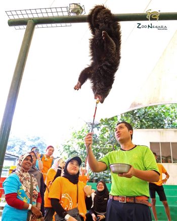 FREE-Zoo-Negara-Admin-Tickets-in-Malaysia-Promotion-2020-1-350x438 - Others Promotions & Freebies Selangor Supermarket & Hypermarket Theme Parks Travel Packages 