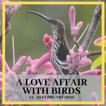 Urban-Environmental-Education-Hub-Special-Promotion-350x350 - Books & Magazines Johor Kedah Kelantan Kuala Lumpur Melaka Negeri Sembilan Online Store Others Pahang Penang Perak Perlis Promotions & Freebies Putrajaya Sabah Sarawak Selangor Stationery Terengganu 