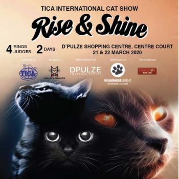 Tica-International-Cat-Show-at-Dpulze-Shopping-Centre-350x350 - Events & Fairs Others Selangor 