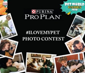 Pet-World-Photo-Contest-350x299 - Events & Fairs Johor Kedah Kelantan Kuala Lumpur Melaka Negeri Sembilan Online Store Pahang Penang Perak Perlis Pets Putrajaya Sabah Sarawak Selangor Sports,Leisure & Travel Terengganu 