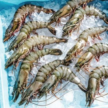 Maybank-Fresh-Tiger-Prawns-Promo-350x350 - Bank & Finance Johor Kedah Kelantan Kuala Lumpur Maybank Melaka Negeri Sembilan Online Store Pahang Penang Perak Perlis Promotions & Freebies Putrajaya Sabah Sarawak Selangor Terengganu 