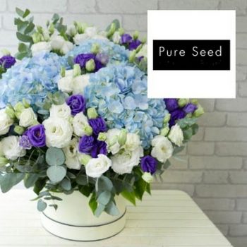 Pure-Seed-15-off-Promo-with-UOB-350x350 - Bank & Finance Johor Kedah Kelantan Kuala Lumpur Melaka Negeri Sembilan Online Store Others Pahang Penang Perak Perlis Promotions & Freebies Putrajaya Sabah Sarawak Selangor Terengganu United Overseas Bank 