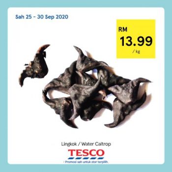 Tesco-Mid-Autumn-Festival-Promotion-3-350x350 - Johor Kedah Kelantan Kuala Lumpur Melaka Negeri Sembilan Pahang Penang Perak Perlis Promotions & Freebies Putrajaya Sabah Sarawak Selangor Supermarket & Hypermarket Terengganu 