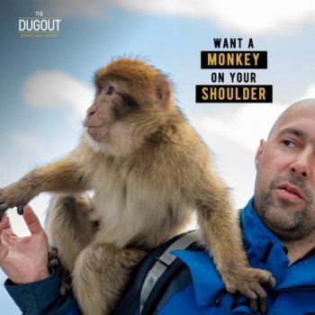 The-Dugout-Oasis-Monkey-Shoulder-Promo-350x350 - Beverages Food , Restaurant & Pub Promotions & Freebies Selangor 