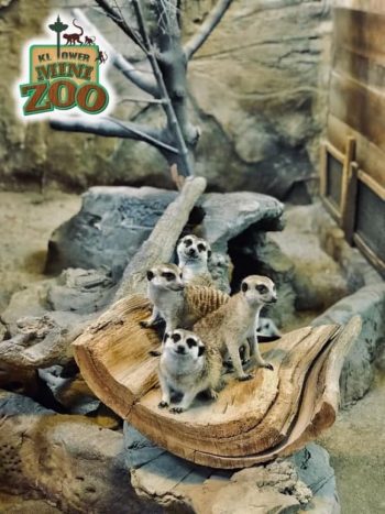KL-Tower-Mini-Zoo-11.11-Crazy-Sales-350x467 - Kuala Lumpur Malaysia Sales Others Selangor 