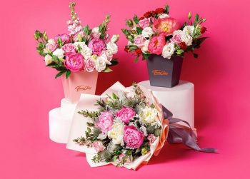 Flower-Chimp-16-off-Promo-with-Citibank-350x251 - Bank & Finance CitiBank Johor Kedah Kelantan Kuala Lumpur Melaka Negeri Sembilan Online Store Others Pahang Penang Perak Perlis Promotions & Freebies Putrajaya Sabah Sarawak Selangor Terengganu 