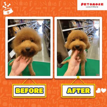 Petsmore-Grooming-Promo-350x350 - Johor Kedah Kelantan Kuala Lumpur Melaka Negeri Sembilan Online Store Pahang Penang Perak Perlis Pets Promotions & Freebies Putrajaya Sabah Sarawak Selangor Sports,Leisure & Travel Terengganu 