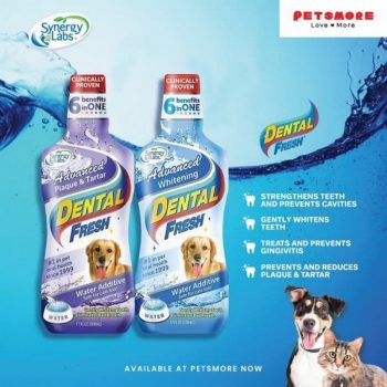 Petsmore-Dental-Fresh-Promo-350x350 - Johor Kedah Kelantan Kuala Lumpur Melaka Negeri Sembilan Pahang Penang Perak Perlis Pets Promotions & Freebies Putrajaya Sabah Sarawak Selangor Sports,Leisure & Travel Terengganu 