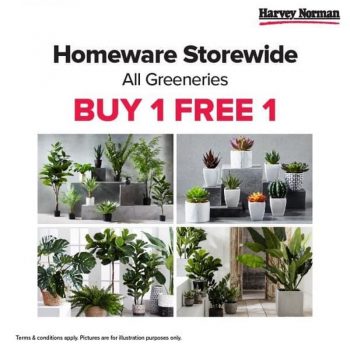 Harvey-Norman-Buy-1-Free-1-Greene-Promo-350x350 - Home & Garden & Tools Home Decor Johor Kedah Kelantan Kuala Lumpur Melaka Negeri Sembilan Pahang Penang Perak Perlis Promotions & Freebies Putrajaya Sabah Sarawak Selangor Terengganu 