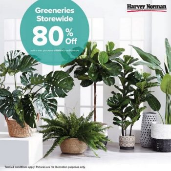 Harvey-Norman-Greeneries-Promo-350x350 - Home & Garden & Tools Home Decor Johor Kedah Kelantan Kuala Lumpur Melaka Negeri Sembilan Online Store Pahang Penang Perak Perlis Promotions & Freebies Putrajaya Sabah Sarawak Selangor Terengganu 