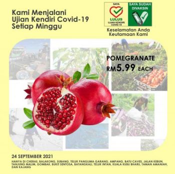 Segi-Fresh-Special-Promotion-4-350x349 - Johor Kedah Kelantan Kuala Lumpur Melaka Negeri Sembilan Pahang Penang Perak Perlis Promotions & Freebies Putrajaya Sabah Sarawak Selangor Supermarket & Hypermarket Terengganu 