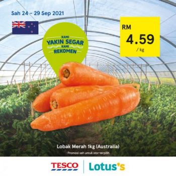 Tesco-Lotuss-REKOMEN-Promotion-10-17-350x350 - Johor Kedah Kelantan Kuala Lumpur Melaka Negeri Sembilan Pahang Penang Perak Perlis Promotions & Freebies Putrajaya Sabah Sarawak Selangor Supermarket & Hypermarket Terengganu 