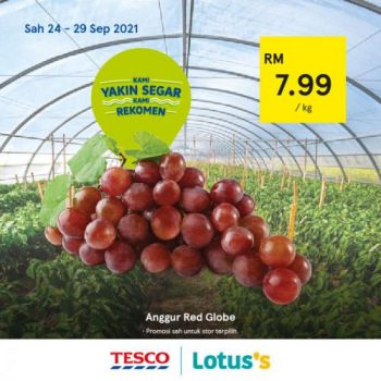 Tesco-Lotuss-REKOMEN-Promotion-12-16-350x350 - Johor Kedah Kelantan Kuala Lumpur Melaka Negeri Sembilan Pahang Penang Perak Perlis Promotions & Freebies Putrajaya Sabah Sarawak Selangor Supermarket & Hypermarket Terengganu 