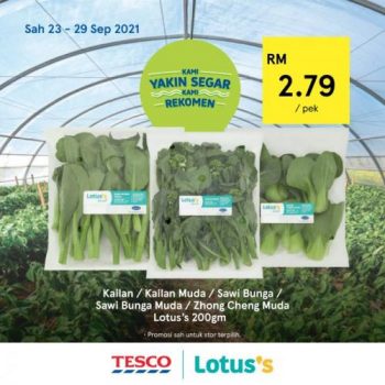 Tesco-Lotuss-REKOMEN-Promotion-22-7-350x350 - Johor Kedah Kelantan Kuala Lumpur Melaka Negeri Sembilan Online Store Pahang Penang Perak Perlis Promotions & Freebies Putrajaya Sabah Sarawak Selangor Supermarket & Hypermarket Terengganu 