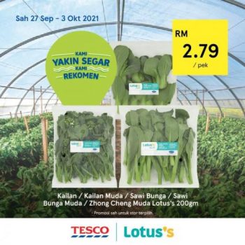 Tesco-Lotuss-REKOMEN-Promotion-3-19-350x350 - Johor Kedah Kelantan Kuala Lumpur Melaka Negeri Sembilan Online Store Pahang Penang Perak Perlis Promotions & Freebies Putrajaya Sabah Sarawak Selangor Supermarket & Hypermarket Terengganu 