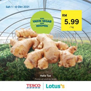 Tesco-Lotuss-REKOMEN-Promotion-13-350x350 - Johor Kedah Kelantan Kuala Lumpur Melaka Negeri Sembilan Online Store Pahang Penang Perak Perlis Promotions & Freebies Putrajaya Sabah Sarawak Selangor Supermarket & Hypermarket Terengganu 