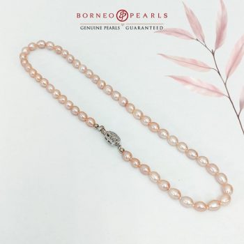 Borneo-Pearls-Special-Deal-2-350x350 - Gifts , Souvenir & Jewellery Jewels Johor Kedah Kelantan Kuala Lumpur Melaka Negeri Sembilan Pahang Penang Perak Perlis Promotions & Freebies Putrajaya Sabah Sarawak Selangor Terengganu 