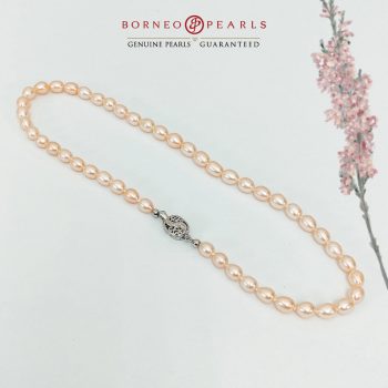 Borneo-Pearls-Special-Deal-4-350x350 - Gifts , Souvenir & Jewellery Jewels Johor Kedah Kelantan Kuala Lumpur Melaka Negeri Sembilan Pahang Penang Perak Perlis Promotions & Freebies Putrajaya Sabah Sarawak Selangor Terengganu 