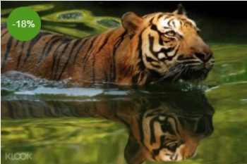 Zoo-Negara-Ticket-Price-Promotion-350x233 - Johor Kedah Kelantan Kuala Lumpur Melaka Negeri Sembilan Online Store Others Pahang Penang Perak Perlis Promotions & Freebies Putrajaya Sabah Sarawak Selangor Terengganu 