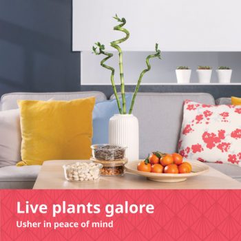 IKEA-Live-Plants-Promo-350x350 - Home & Garden & Tools Home Decor Johor Kedah Kelantan Kuala Lumpur Melaka Negeri Sembilan Pahang Penang Perak Perlis Promotions & Freebies Putrajaya Sabah Sarawak Selangor Terengganu 