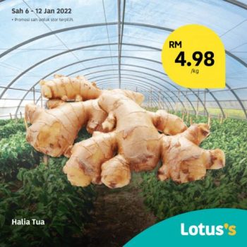 Tesco-Lotuss-Berjimat-Dengan-Kami-Promotion-10-3-350x350 - Johor Kedah Kelantan Kuala Lumpur Melaka Negeri Sembilan Pahang Penang Perak Perlis Promotions & Freebies Putrajaya Sabah Sarawak Selangor Supermarket & Hypermarket Terengganu 