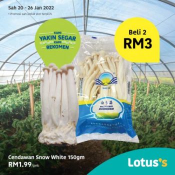 Tesco-Lotuss-Berjimat-Dengan-Kami-Promotion-11-16-350x350 - Johor Kedah Kelantan Kuala Lumpur Melaka Negeri Sembilan Pahang Penang Perak Perlis Promotions & Freebies Putrajaya Sabah Sarawak Selangor Supermarket & Hypermarket Terengganu 