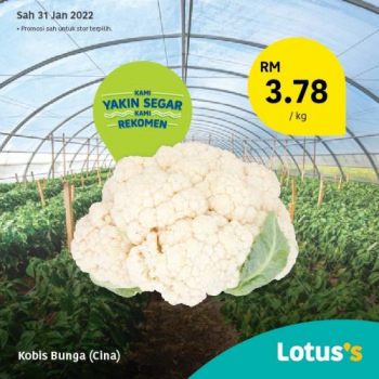 Tesco-Lotuss-Berjimat-Dengan-Kami-Promotion-2-21-350x350 - Johor Kedah Kelantan Kuala Lumpur Melaka Negeri Sembilan Pahang Penang Perak Perlis Promotions & Freebies Putrajaya Sabah Sarawak Selangor Supermarket & Hypermarket Terengganu 
