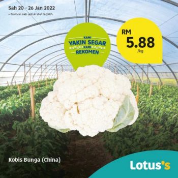 Tesco-Lotuss-Berjimat-Dengan-Kami-Promotion-23-5-350x350 - Johor Kedah Kelantan Kuala Lumpur Melaka Negeri Sembilan Pahang Penang Perak Perlis Promotions & Freebies Putrajaya Sabah Sarawak Selangor Supermarket & Hypermarket Terengganu 