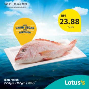 Tesco-Lotuss-Berjimat-Dengan-Kami-Promotion-29-5-350x350 - Johor Kedah Kelantan Kuala Lumpur Melaka Negeri Sembilan Pahang Penang Perak Perlis Promotions & Freebies Putrajaya Sabah Sarawak Selangor Supermarket & Hypermarket Terengganu 