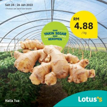 Tesco-Lotuss-Berjimat-Dengan-Kami-Promotion-35-4-350x350 - Johor Kedah Kelantan Kuala Lumpur Melaka Negeri Sembilan Pahang Penang Perak Perlis Promotions & Freebies Putrajaya Sabah Sarawak Selangor Supermarket & Hypermarket Terengganu 