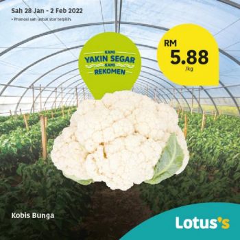 Tesco-Lotuss-Berjimat-Dengan-Kami-Promotion-5-19-350x350 - Johor Kedah Kelantan Kuala Lumpur Melaka Negeri Sembilan Pahang Penang Perak Perlis Promotions & Freebies Putrajaya Sabah Sarawak Selangor Supermarket & Hypermarket Terengganu 