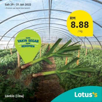 Tesco-Lotuss-Berjimat-Dengan-Kami-Promotion-5-20-350x350 - Johor Kedah Kelantan Kuala Lumpur Melaka Negeri Sembilan Pahang Penang Perak Perlis Promotions & Freebies Putrajaya Sabah Sarawak Selangor Supermarket & Hypermarket Terengganu 