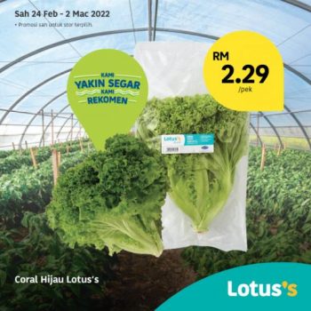 Tesco-Lotuss-Berjimat-Dengan-Kami-Promotion-21-9-350x350 - Johor Kedah Kelantan Kuala Lumpur Melaka Negeri Sembilan Pahang Penang Perak Perlis Promotions & Freebies Putrajaya Sabah Sarawak Selangor Supermarket & Hypermarket Terengganu 