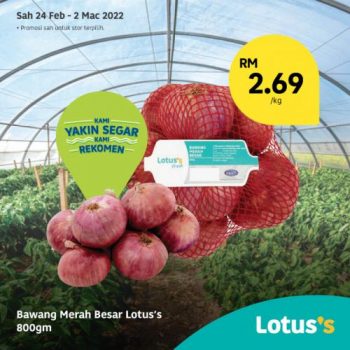 Tesco-Lotuss-Berjimat-Dengan-Kami-Promotion-22-7-350x350 - Johor Kedah Kelantan Kuala Lumpur Melaka Negeri Sembilan Pahang Penang Perak Perlis Promotions & Freebies Putrajaya Sabah Sarawak Selangor Supermarket & Hypermarket Terengganu 