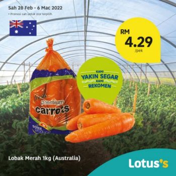 Tesco-Lotuss-Berjimat-Dengan-Kami-Promotion-5-18-350x350 - Johor Kedah Kelantan Kuala Lumpur Melaka Negeri Sembilan Pahang Penang Perak Perlis Promotions & Freebies Putrajaya Sabah Sarawak Selangor Supermarket & Hypermarket Terengganu 