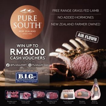 B.I.G.-Pure-South-Promo-350x350 - Kuala Lumpur Promotions & Freebies Selangor Supermarket & Hypermarket 