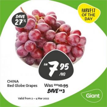 Giant-China-Reb-Globe-Grapes-Promotion-350x350 - Johor Kedah Kelantan Kuala Lumpur Melaka Negeri Sembilan Pahang Penang Perak Perlis Promotions & Freebies Putrajaya Sabah Sarawak Selangor Supermarket & Hypermarket Terengganu 