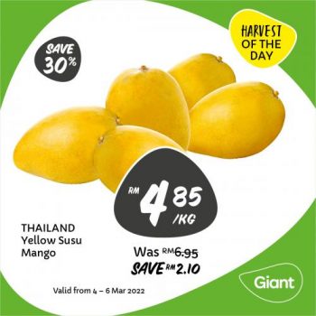 Giant-Mangoes-Promotion-2-350x350 - Johor Kedah Kelantan Kuala Lumpur Melaka Negeri Sembilan Pahang Penang Perak Perlis Promotions & Freebies Putrajaya Sabah Sarawak Selangor Supermarket & Hypermarket Terengganu 