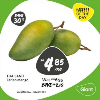 Giant-Mangoes-Promotion-3-350x350 - Johor Kedah Kelantan Kuala Lumpur Melaka Negeri Sembilan Pahang Penang Perak Perlis Promotions & Freebies Putrajaya Sabah Sarawak Selangor Supermarket & Hypermarket Terengganu 