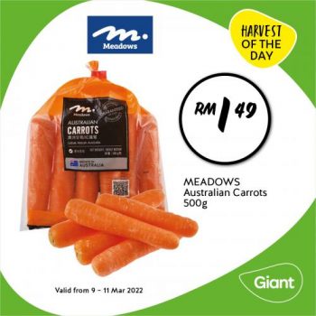 Giant-Meadows-Australian-Carrots-Promotion-350x350 - Johor Kedah Kelantan Kuala Lumpur Melaka Negeri Sembilan Pahang Penang Perak Perlis Promotions & Freebies Putrajaya Sabah Sarawak Selangor Supermarket & Hypermarket Terengganu 