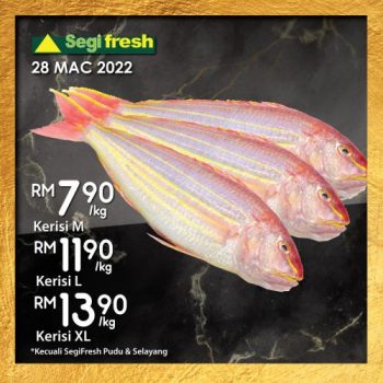 Segi-Fresh-Special-Promotion-14-350x350 - Johor Kedah Kelantan Kuala Lumpur Melaka Negeri Sembilan Pahang Penang Perak Perlis Promotions & Freebies Putrajaya Sabah Sarawak Selangor Supermarket & Hypermarket Terengganu 