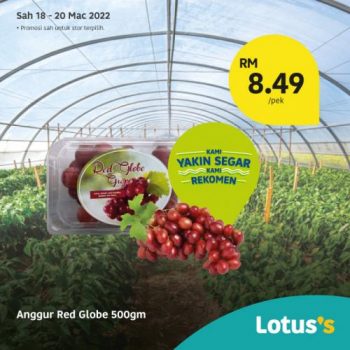 Tesco-Lotuss-Berjimat-Dengan-Kami-Promotion-17-9-350x350 - Johor Kedah Kelantan Kuala Lumpur Melaka Negeri Sembilan Pahang Penang Perak Perlis Promotions & Freebies Putrajaya Sabah Sarawak Selangor Supermarket & Hypermarket Terengganu 