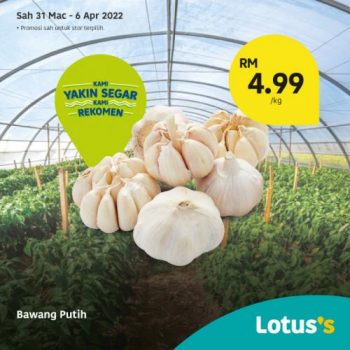 Tesco-Lotuss-Berjimat-Dengan-Kami-Promotion-19-13-350x350 - Johor Kedah Kelantan Kuala Lumpur Melaka Negeri Sembilan Pahang Penang Perak Perlis Promotions & Freebies Putrajaya Sabah Sarawak Selangor Supermarket & Hypermarket Terengganu 