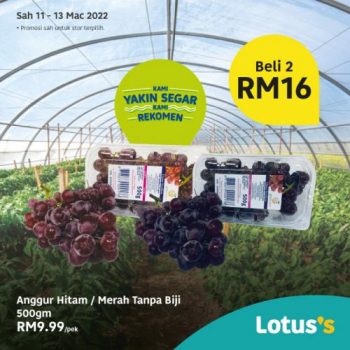 Tesco-Lotuss-Berjimat-Dengan-Kami-Promotion-25-2-350x350 - Johor Kedah Kelantan Kuala Lumpur Melaka Negeri Sembilan Pahang Penang Perak Perlis Promotions & Freebies Putrajaya Sabah Sarawak Selangor Supermarket & Hypermarket Terengganu 