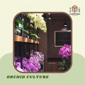 Orchid-Culture-Ramadan-Bazaar-2-350x350 - Kuala Lumpur Others Promotions & Freebies Selangor 